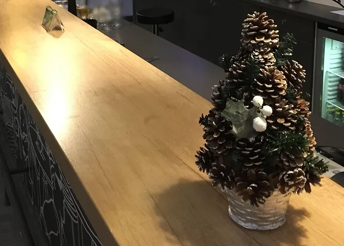 Ibis Airport 3* София