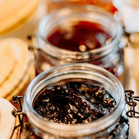 Otel Ibis Airport Sofya