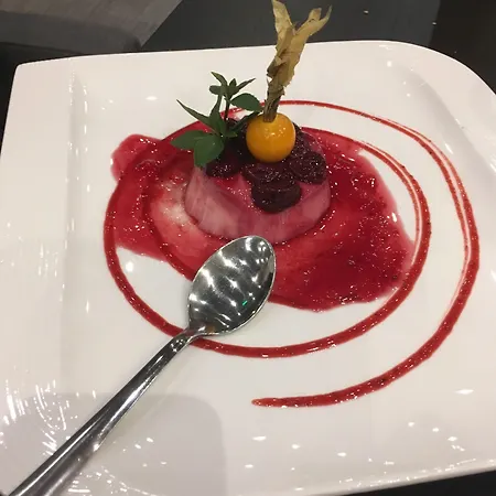 Ibis Airport Hotel Sofie