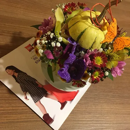 Ibis Airport Otel Sofya