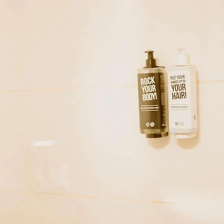 Hotel Ibis Airport 3*