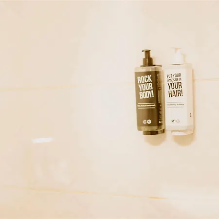 Ibis Airport Hotel 3*