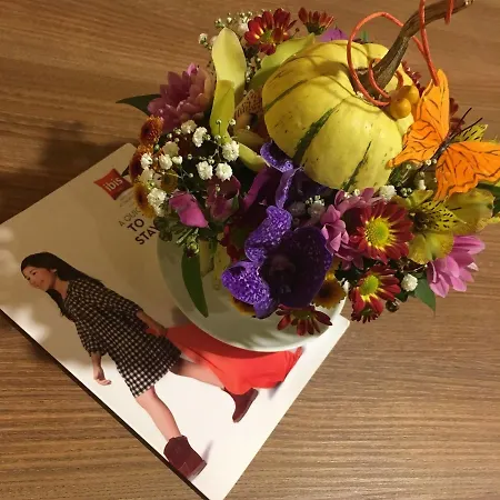 ホテル イビス エアポート ソフィア